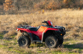Red quad bike parked in a paddock