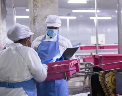 Factory worker conducts inspection at processing plant with conveyor belt