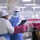 Factory worker conducts inspection at processing plant with conveyor belt